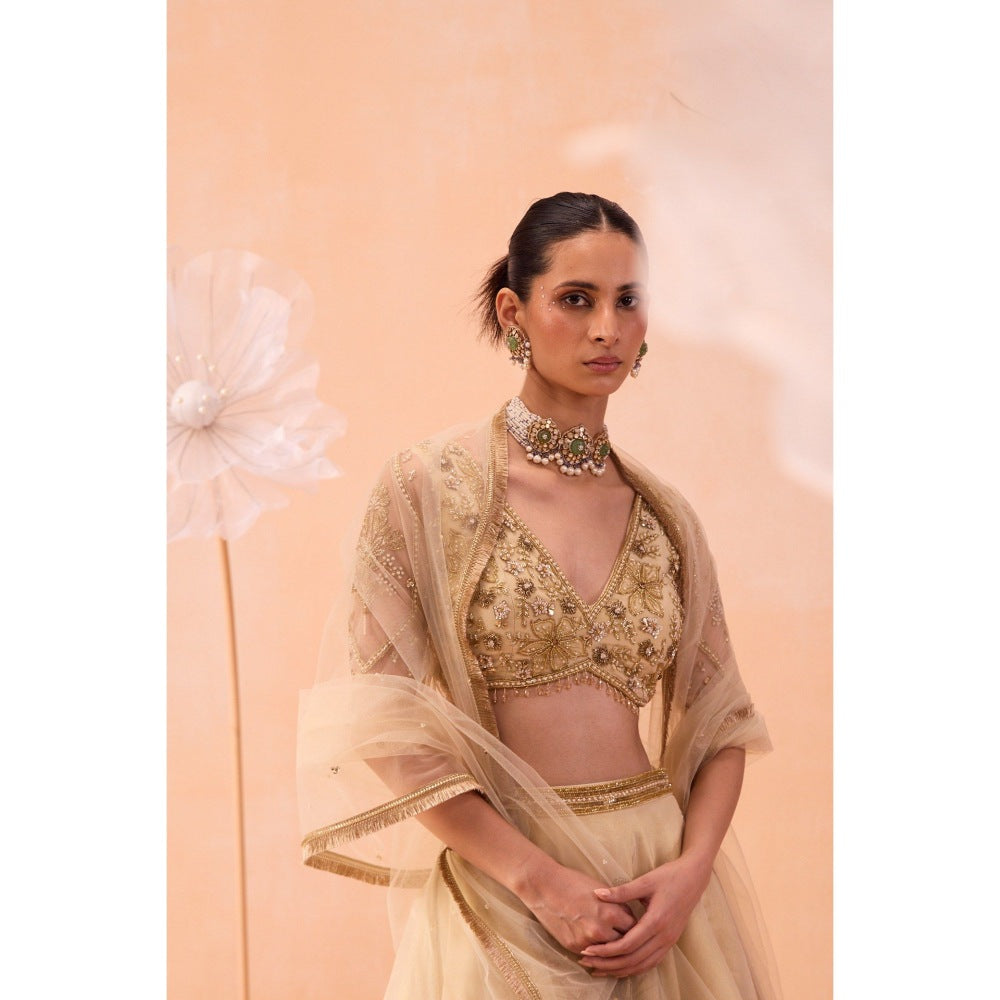 PARUL GANDHI Beige Sarine Lehenga With Blouse And Dupatta (Set of 3)