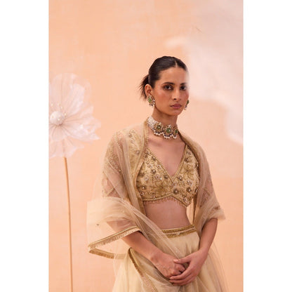 PARUL GANDHI Beige Sarine Lehenga With Blouse And Dupatta (Set of 3)