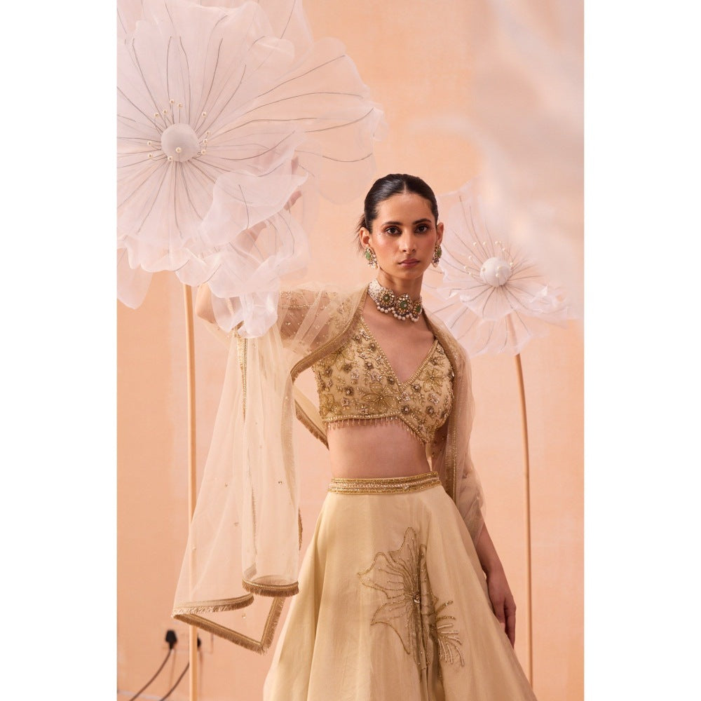 PARUL GANDHI Beige Sarine Lehenga With Blouse And Dupatta (Set of 3)