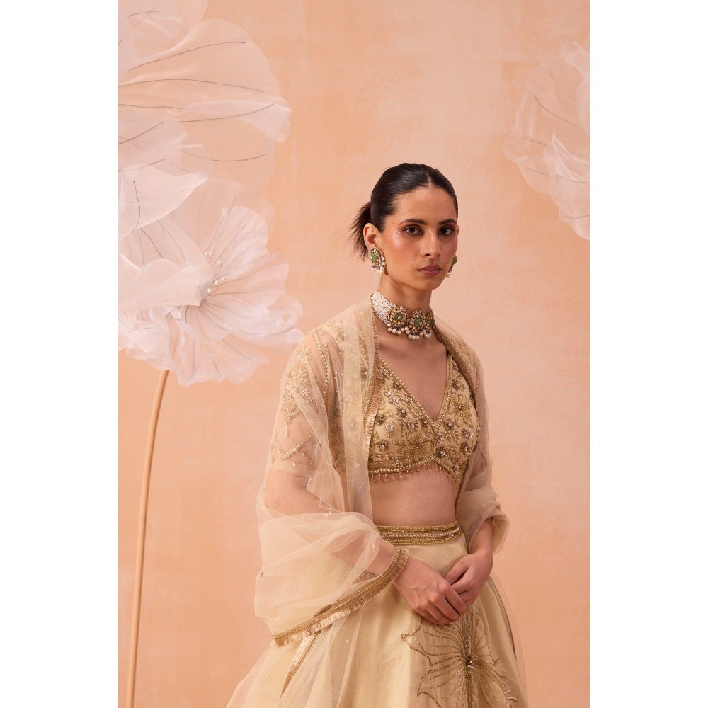 PARUL GANDHI Beige Sarine Lehenga With Blouse And Dupatta (Set of 3)