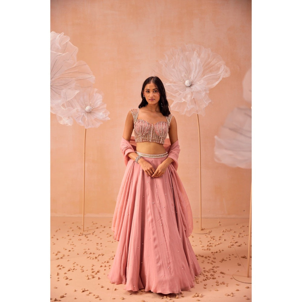 PARUL GANDHI Nudo Pink Lehenga With Blouse And Dupatta (Set of 3)