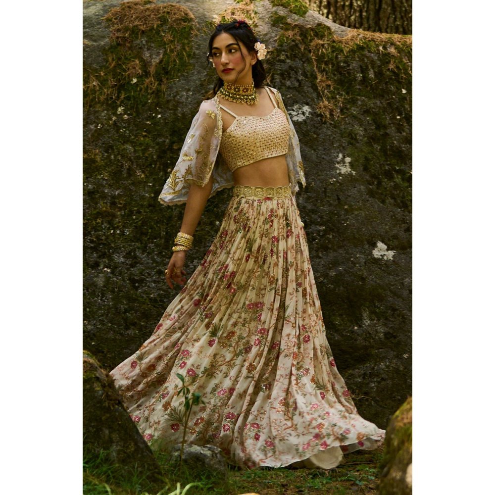 Paulmi & Harsh Detailed Cape and Lehenga (Set of 4)