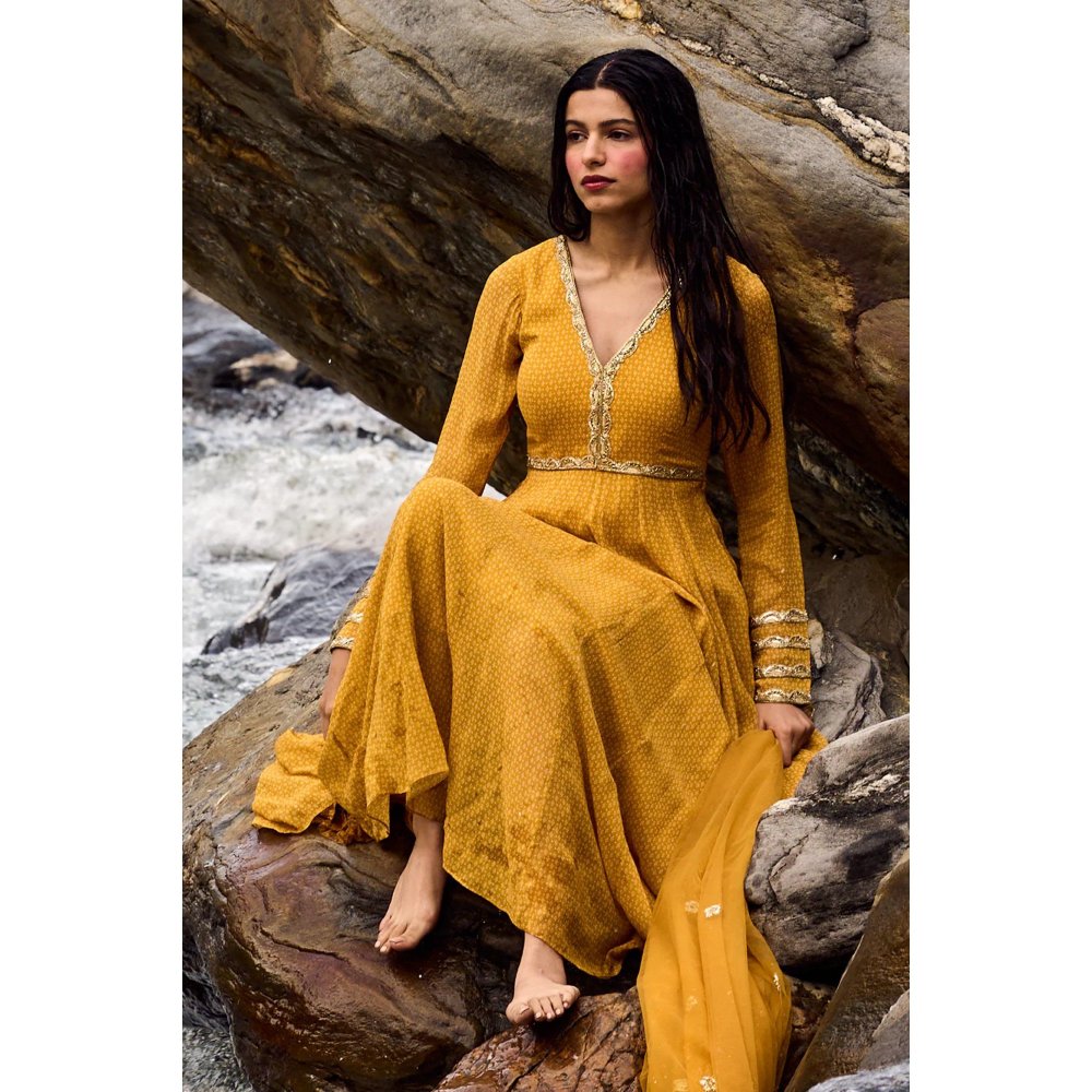 Paulmi & Harsh Ochre Yellow Geometric Print Anarkali (Set of 2)