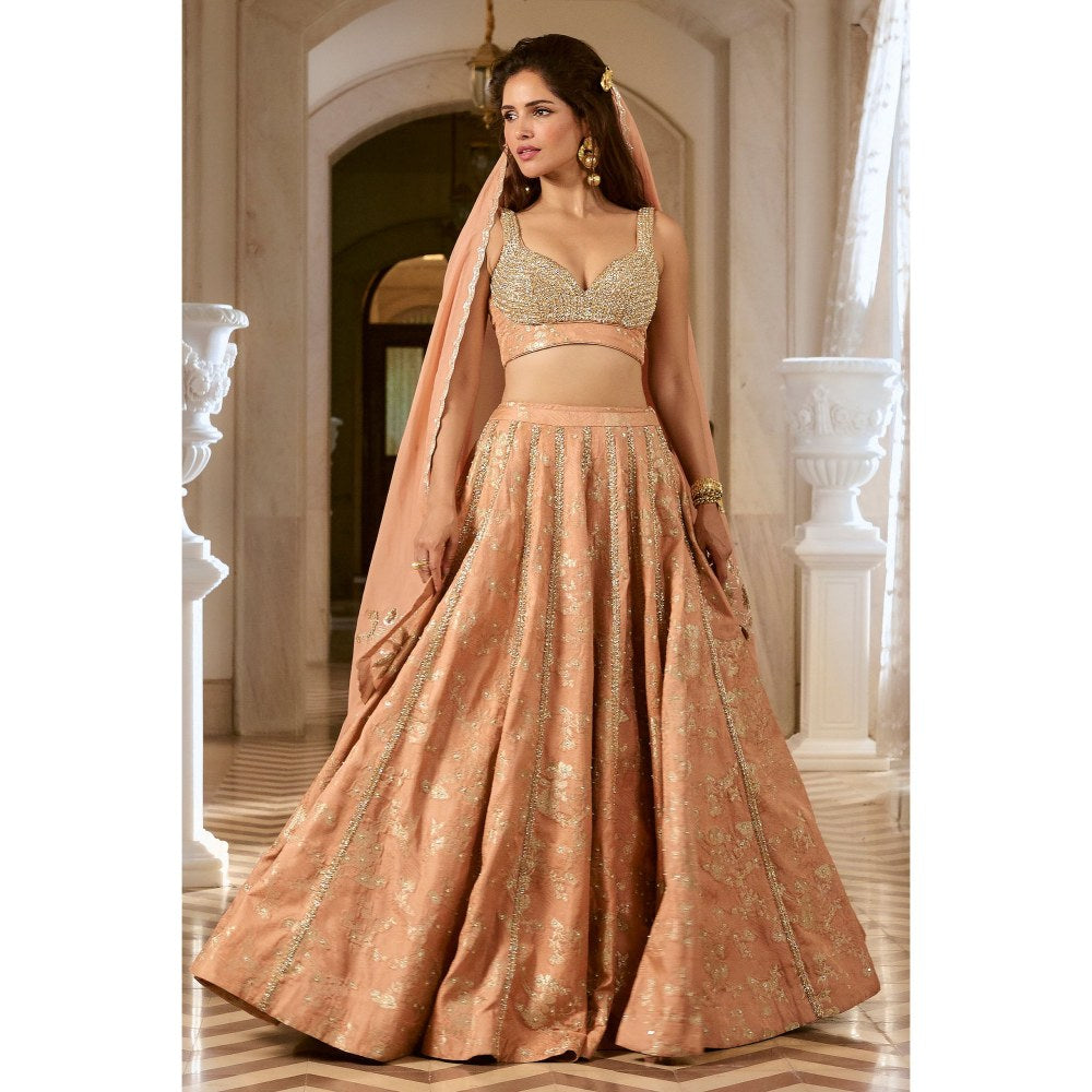 Paulmi & Harsh Adele Pink Lehenga with Choli and Dupatta