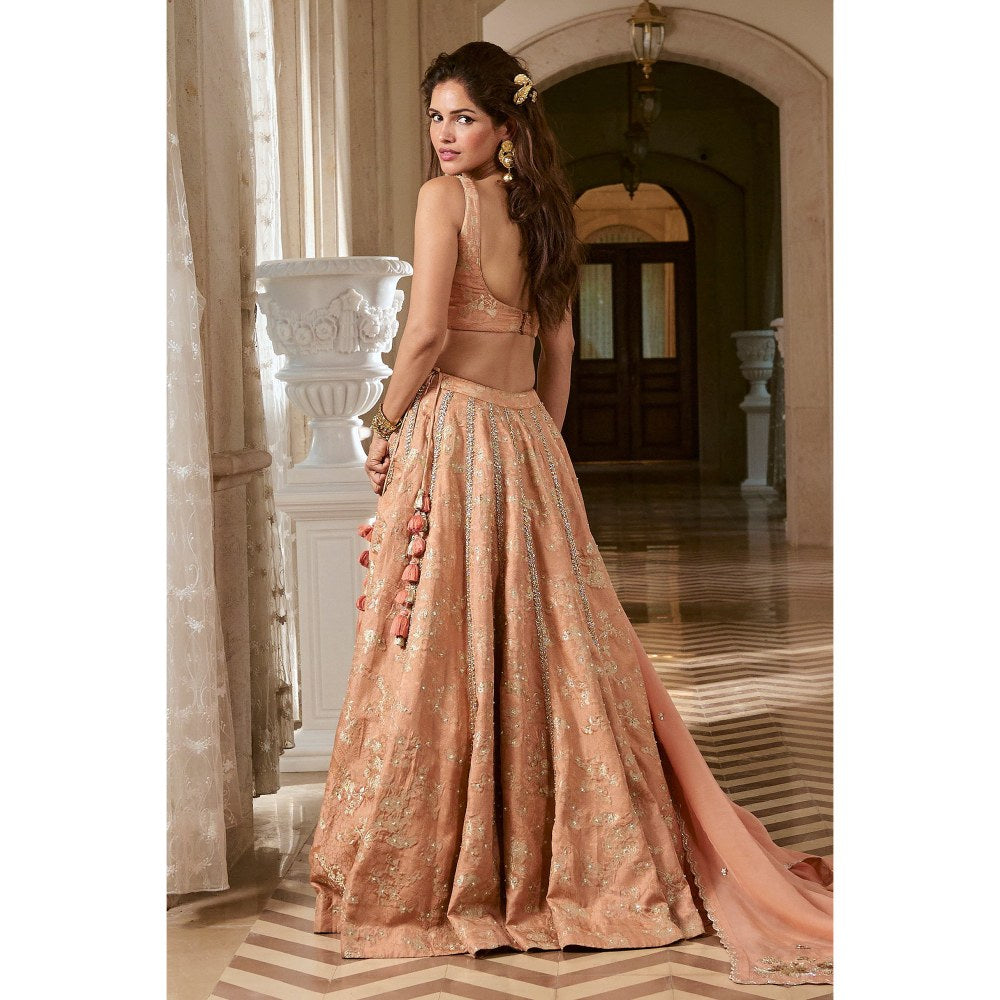 Paulmi & Harsh Adele Pink Lehenga with Choli and Dupatta