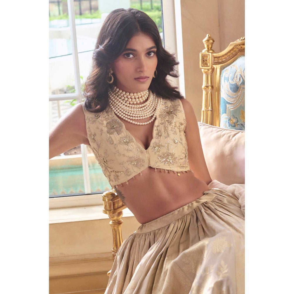 Paulmi & Harsh Aruna Grey Lehenga with Choli and Dupatta