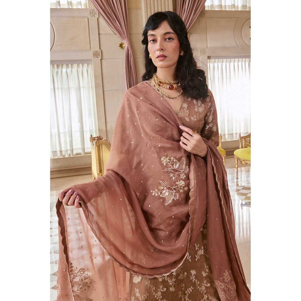 Paulmi & Harsh Women Brown Silk V-Neck Kurta with Palazzo