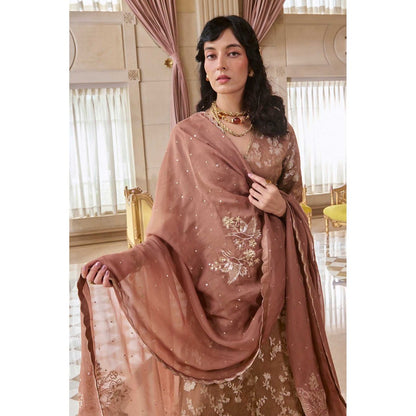 Paulmi & Harsh Women Brown Silk V-Neck Kurta with Palazzo