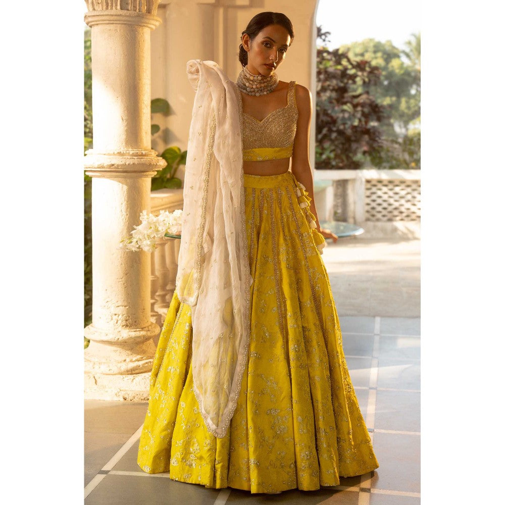 Paulmi & Harsh Adele Yellow Lehenga with Choli and Dupatta