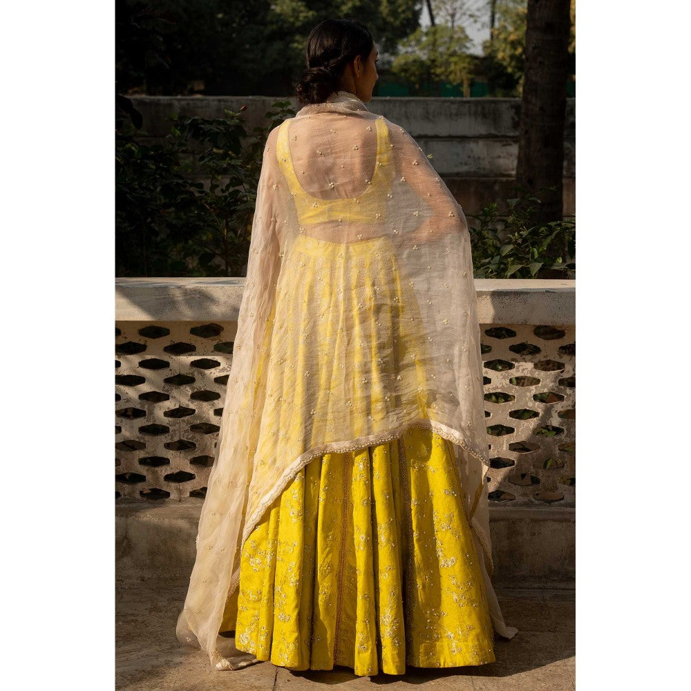 Paulmi & Harsh Adele Yellow Lehenga with Choli and Dupatta
