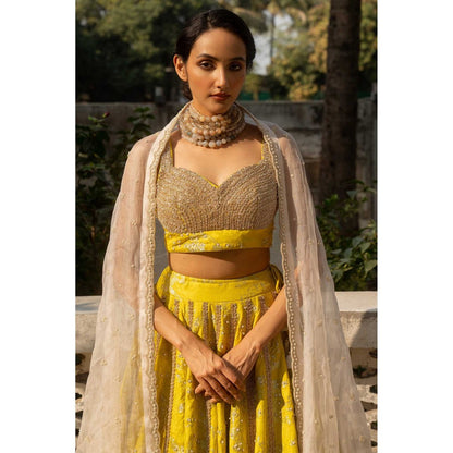 Paulmi & Harsh Adele Yellow Lehenga with Choli and Dupatta