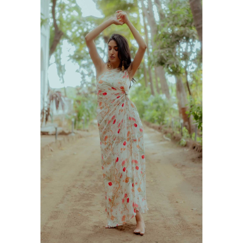 Paulmi & Harsh Melina Multi Coloured Printed One Shoulder Maxi Dress
