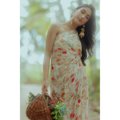 Paulmi & Harsh Melina Multi Coloured Printed One Shoulder Maxi Dress