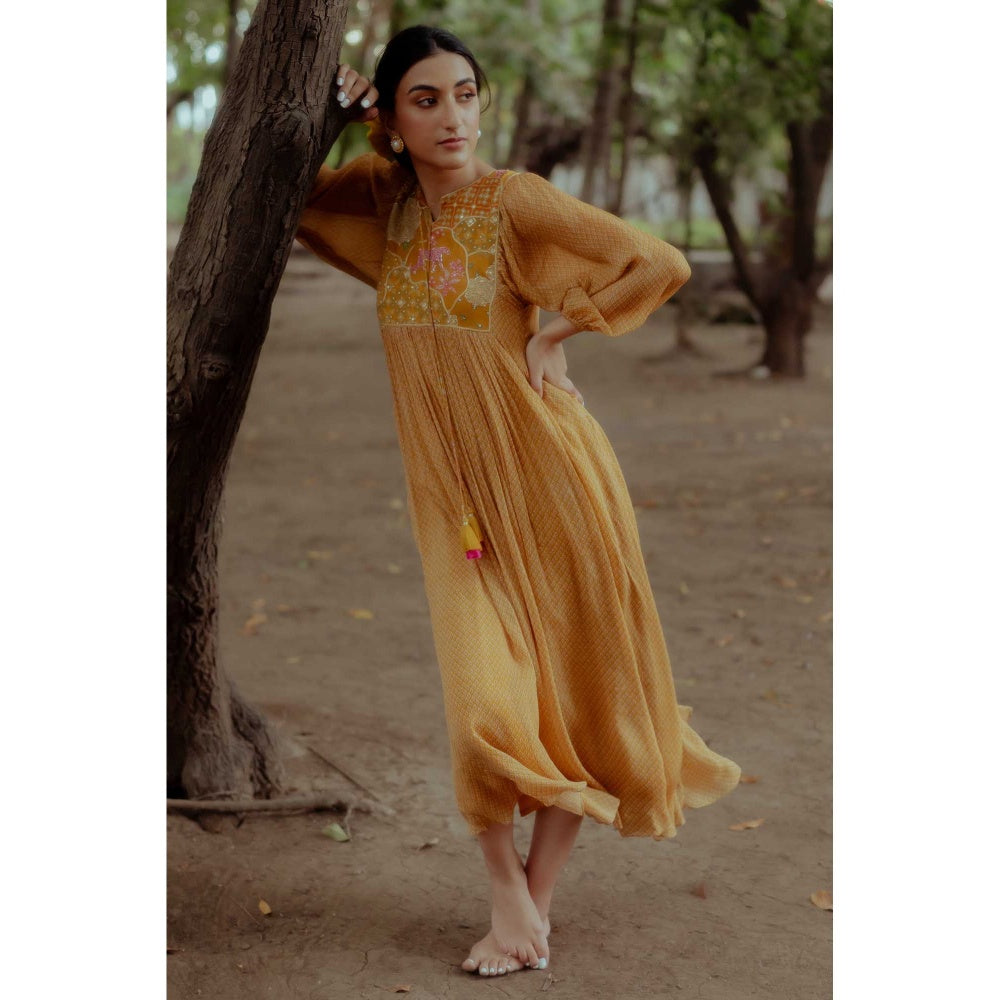 Paulmi & Harsh Sienna Yellow Printed Maxi Dress
