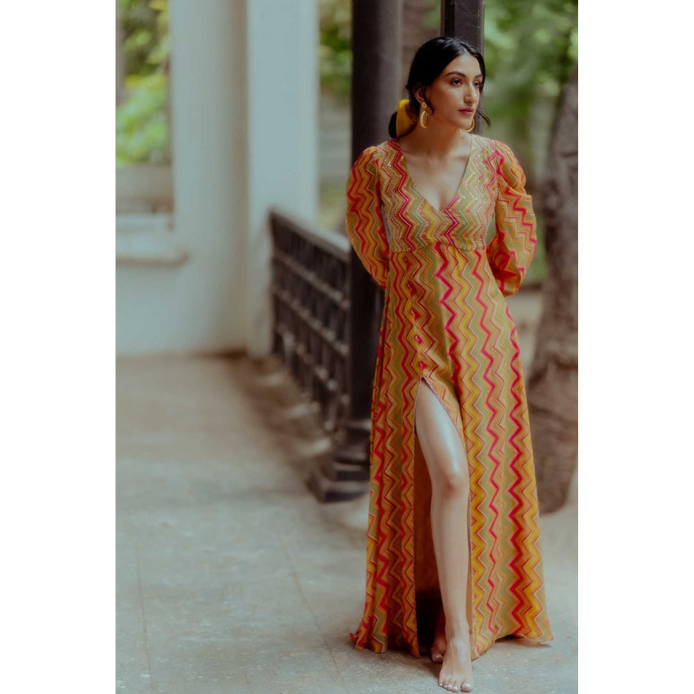 Paulmi & Harsh Margaret Multi Coloured Printed Maxi Dress