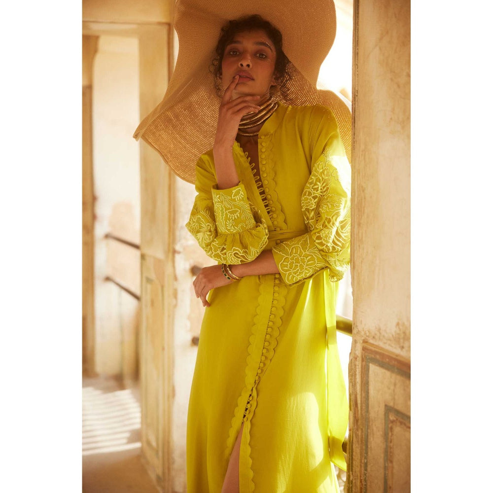 Paulmi & Harsh Victoria Yellow Embroidered Maxi Dress