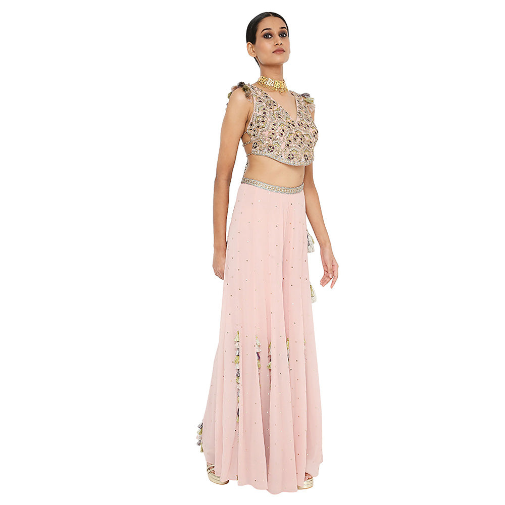 Payal Singhal Zaynab Rose Pink Embroidered Choli with Sharara (Set of 2)
