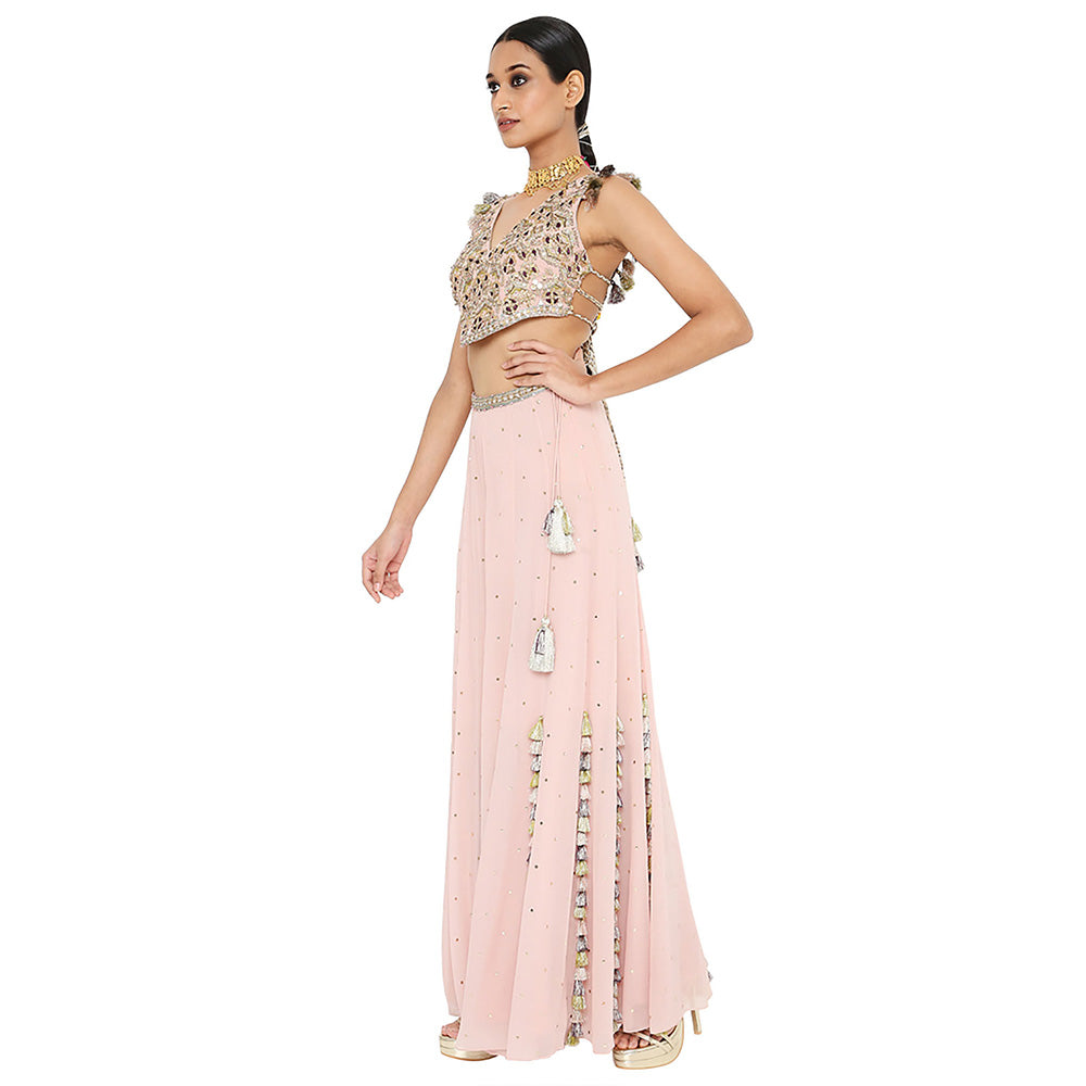 Payal Singhal Zaynab Rose Pink Embroidered Choli with Sharara (Set of 2)
