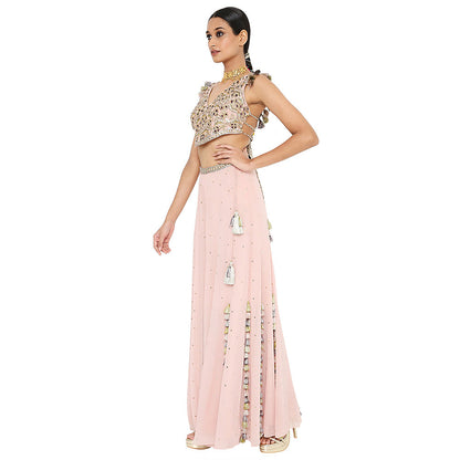 Payal Singhal Zaynab Rose Pink Embroidered Choli with Sharara (Set of 2)