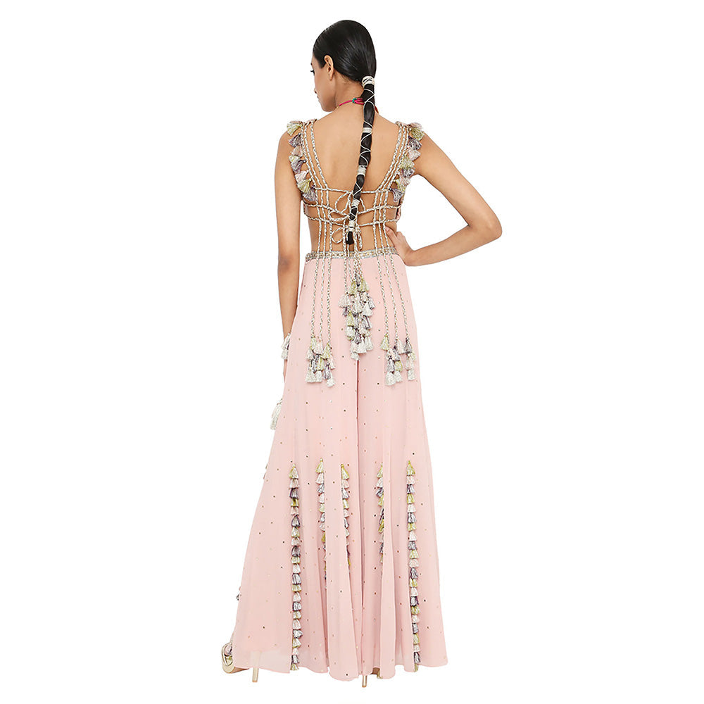 Payal Singhal Zaynab Rose Pink Embroidered Choli with Sharara (Set of 2)