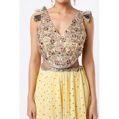 Payal Singhal Yellow Georgette Embroidered Choli with Dot Mukaish Georgette Sharara (Set of 2)
