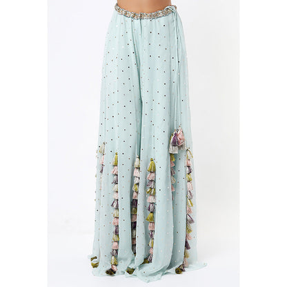 Payal Singhal Powder Blue Georgette Embroidered Choli with Mukaish Sharara (Set of 2)