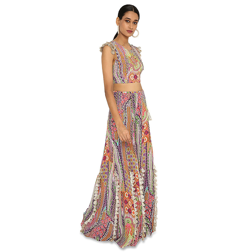 Payal Singhal Iiyana African Print Embroidered Crepe Choli with Tasselled Sharara (Set of 2)