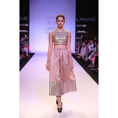 Payal Singhal Noelle Embroidered Choli, Mocha Silkmul Skirt with Soft Net Churidar (Set of 2)