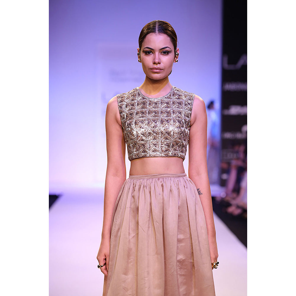 Payal Singhal Noelle Embroidered Choli, Mocha Silkmul Skirt with Soft Net Churidar (Set of 2)