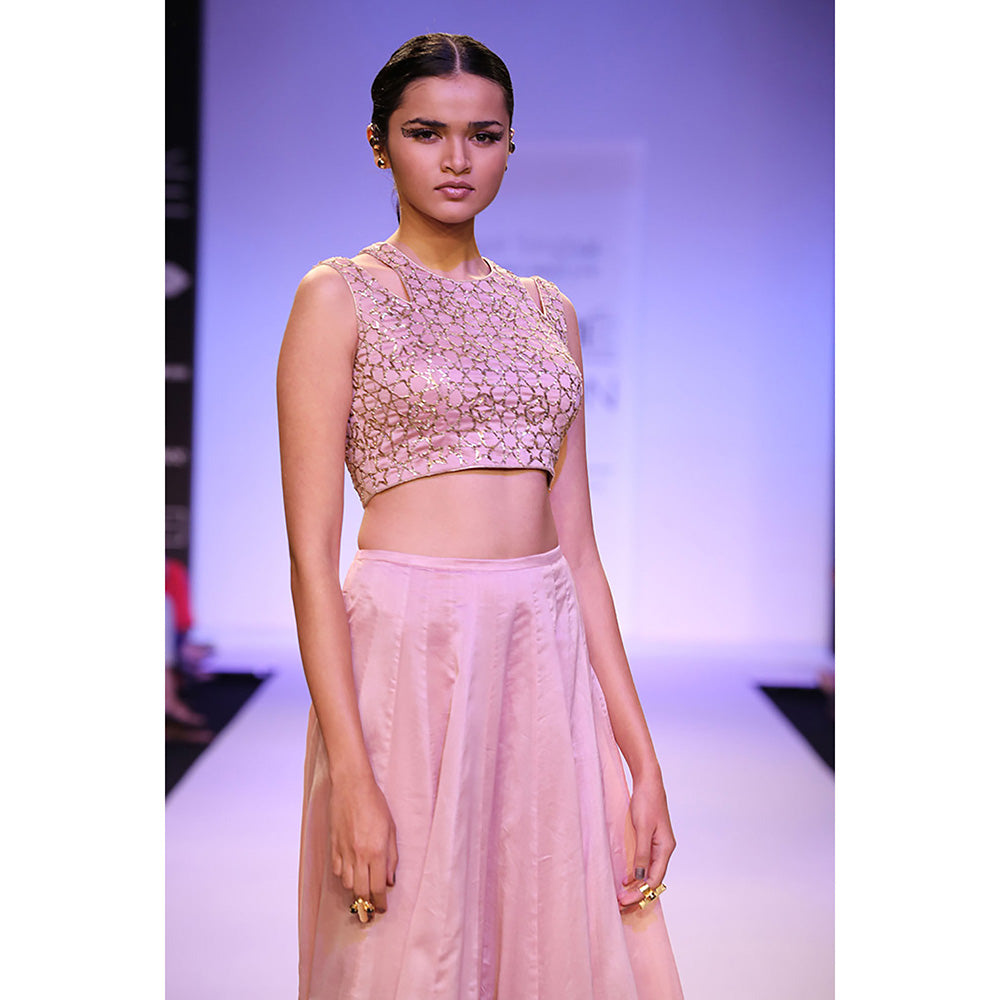 Payal Singhal Afsar Dusky Rose Silkmul Choli with Churidar Skirt (Set of 2)