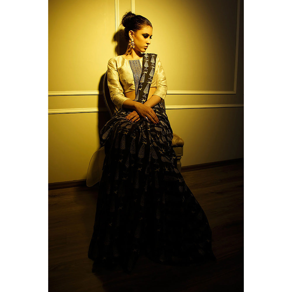 Payal Singhal Farah Stone Dupion Silk & Organza Choli with Black Printed Lehenga Saree