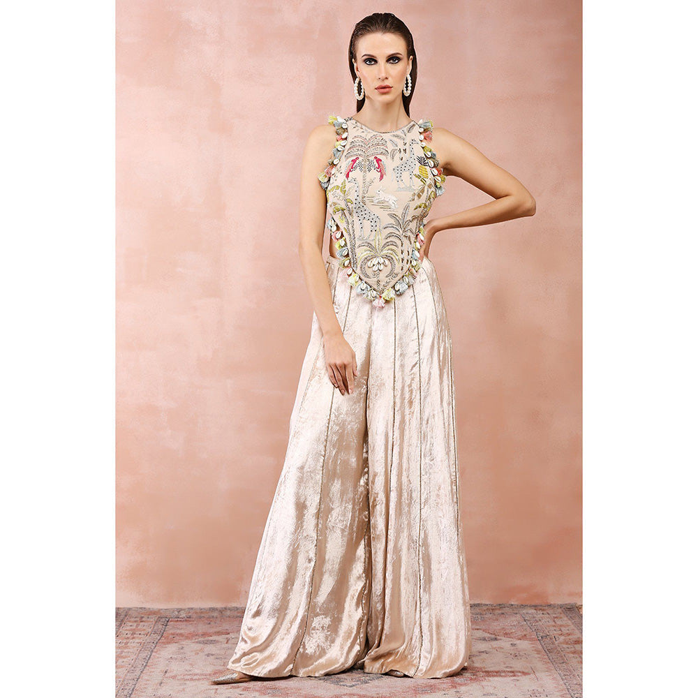 Payal Singhal Stone Embroidered Choli with Palazzo (Set of 2)