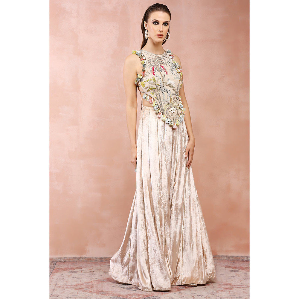 Payal Singhal Stone Embroidered Choli with Palazzo (Set of 2)