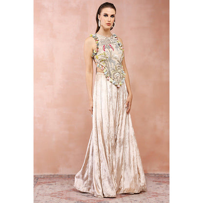 Payal Singhal Stone Embroidered Choli with Palazzo (Set of 2)