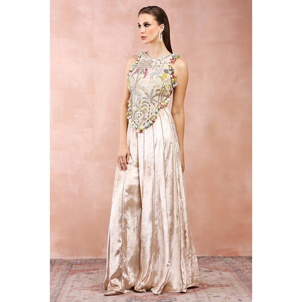 Payal Singhal Stone Embroidered Choli with Palazzo (Set of 2)