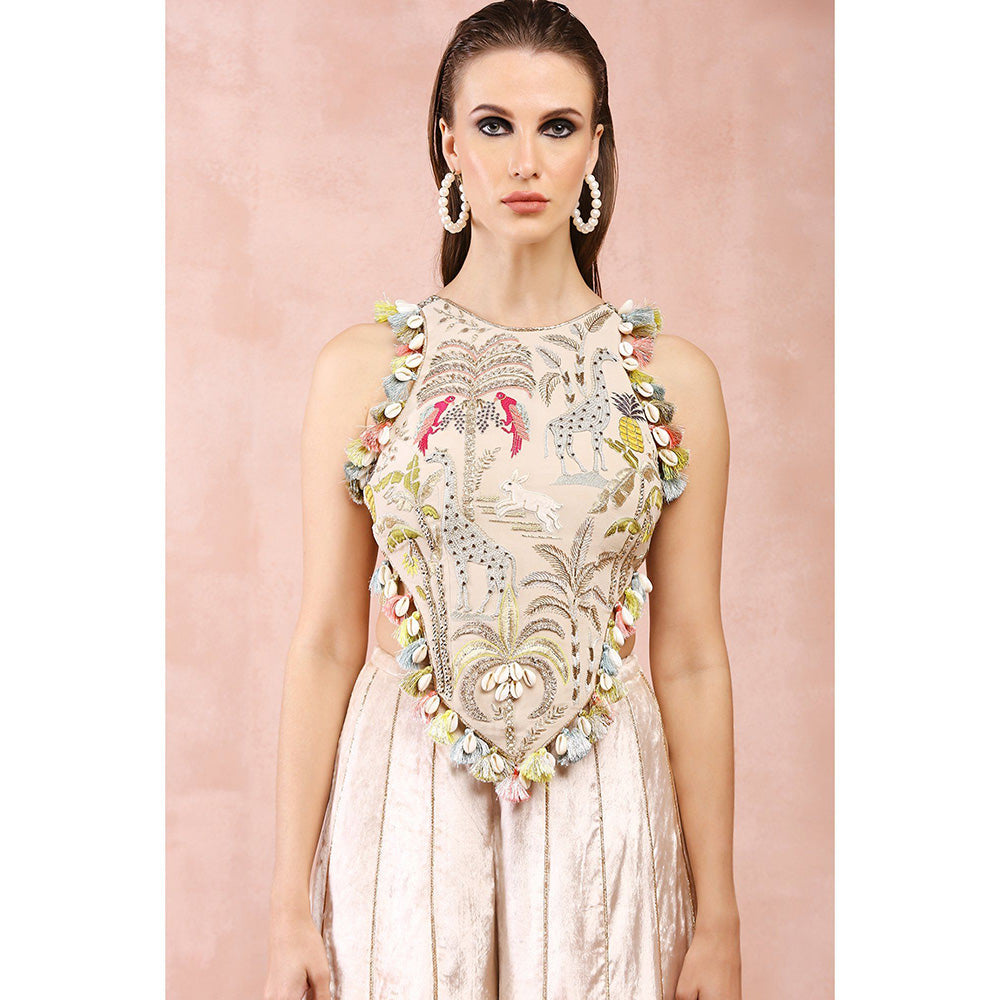 Payal Singhal Stone Embroidered Choli with Palazzo (Set of 2)