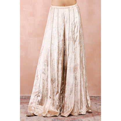 Payal Singhal Stone Embroidered Choli with Palazzo (Set of 2)