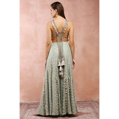 Payal Singhal Powder Green Applique Embroidered Choli with Sharara (Set of 2)