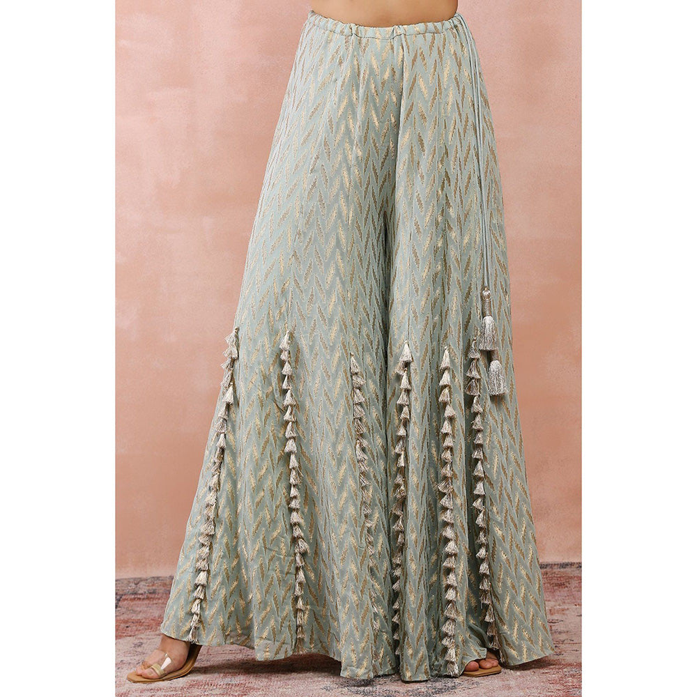 Payal Singhal Powder Green Applique Embroidered Choli with Sharara (Set of 2)