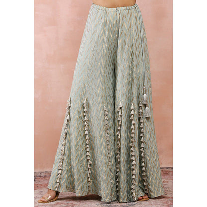 Payal Singhal Powder Green Applique Embroidered Choli with Sharara (Set of 2)