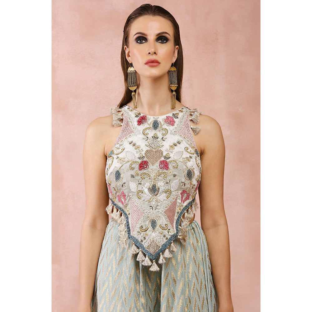 Payal Singhal Powder Green Applique Embroidered Choli with Sharara (Set of 2)