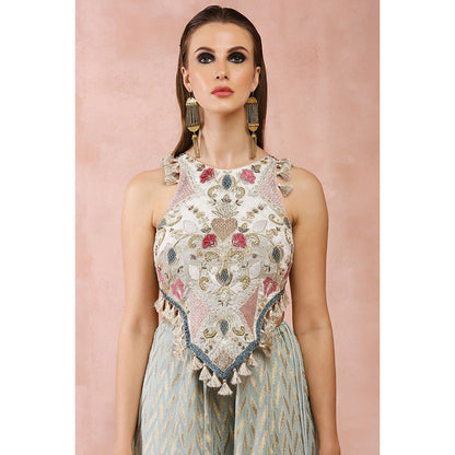 Payal Singhal Powder Green Applique Embroidered Choli with Sharara (Set of 2)