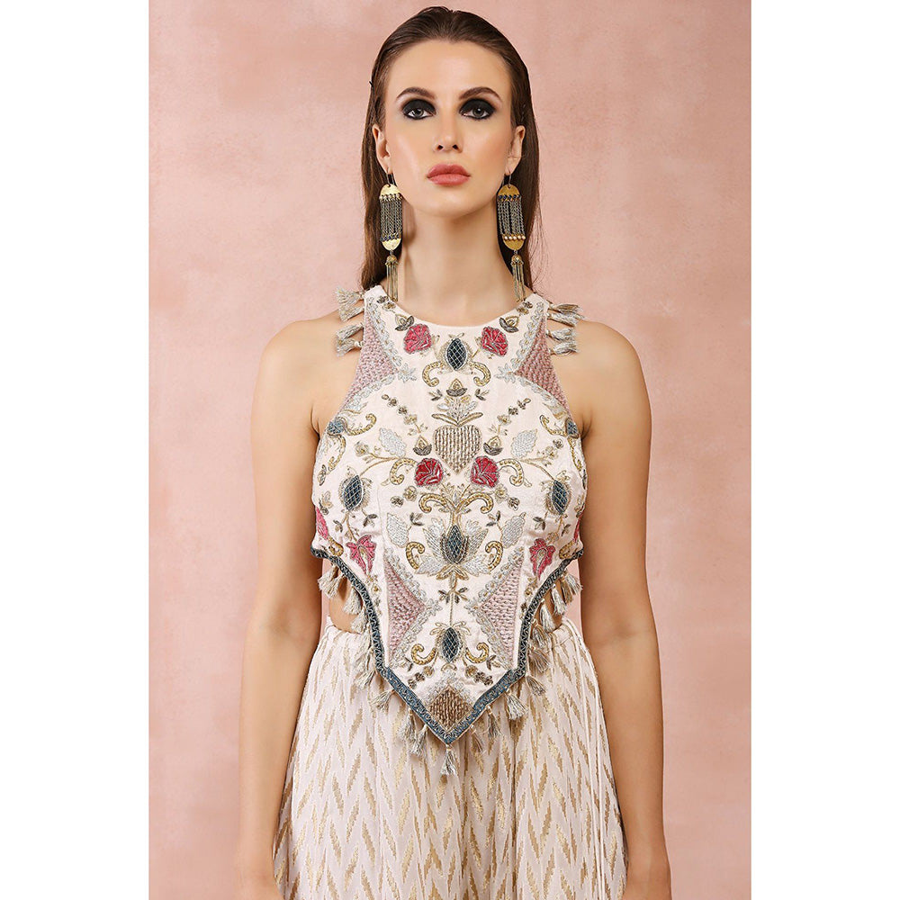 Payal Singhal Off White Applique Embroidered Choli with Sharara (Set of 2)