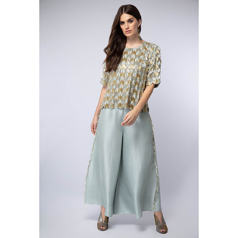 Payal Singhal Powder Blue Top with Palazzo (Set of 2)