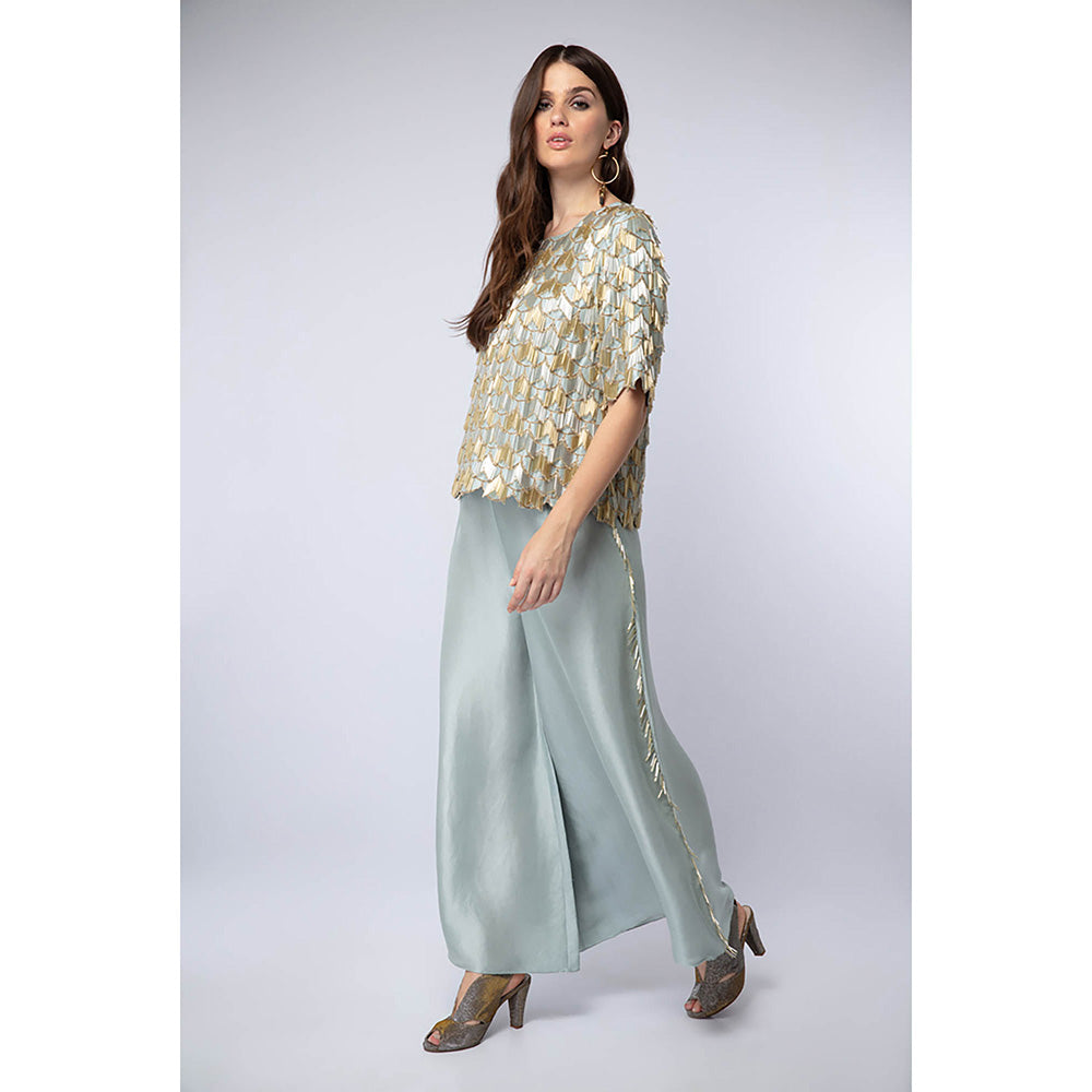 Payal Singhal Powder Blue Top with Palazzo (Set of 2)