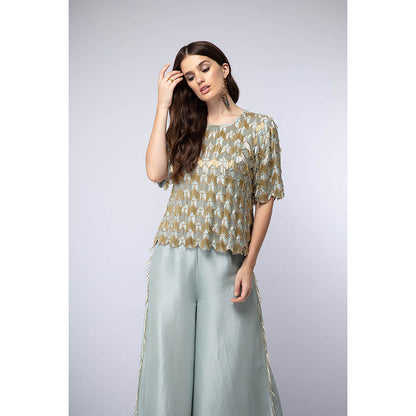 Payal Singhal Powder Blue Top with Palazzo (Set of 2)