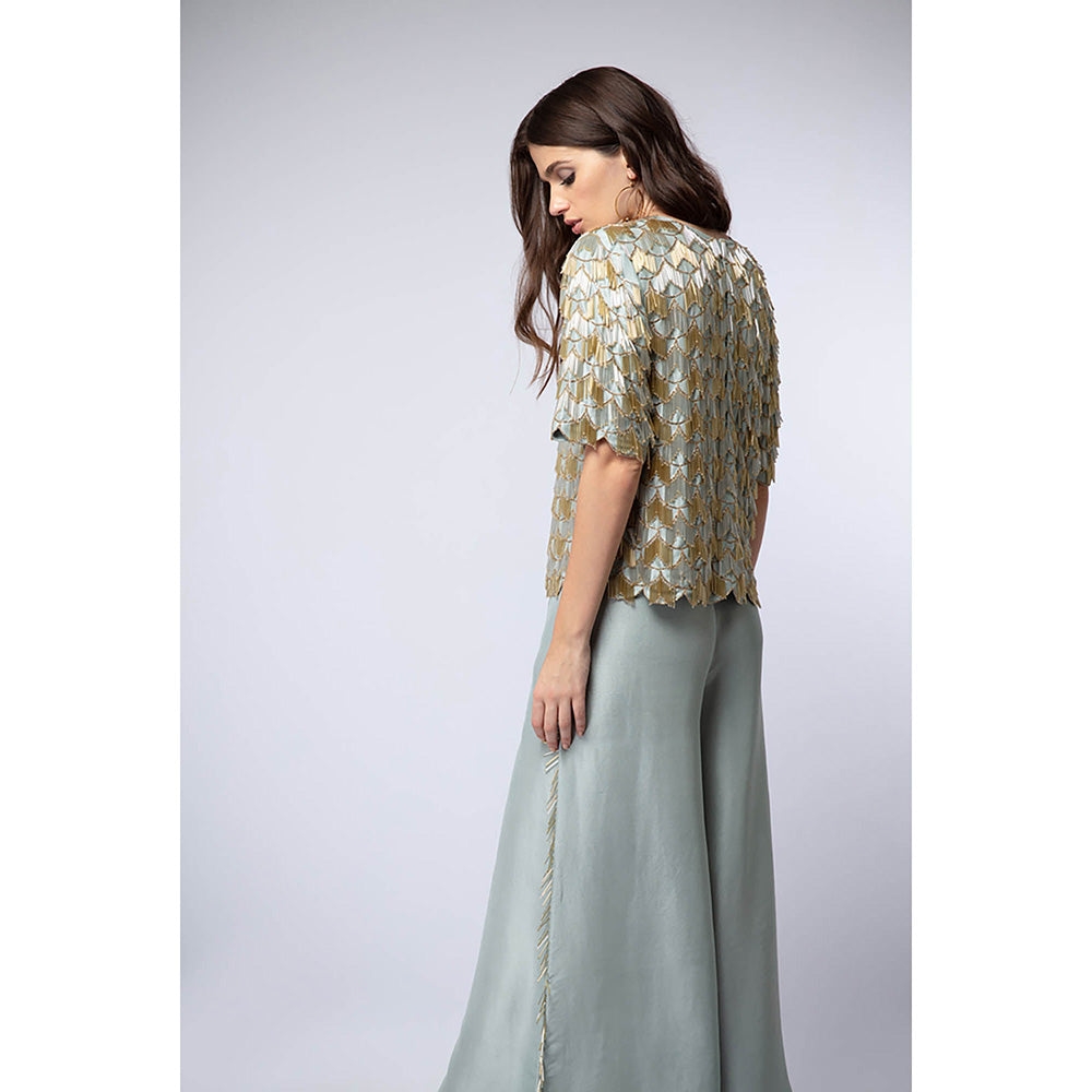 Payal Singhal Powder Blue Top with Palazzo (Set of 2)