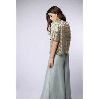 Payal Singhal Powder Blue Top with Palazzo (Set of 2)
