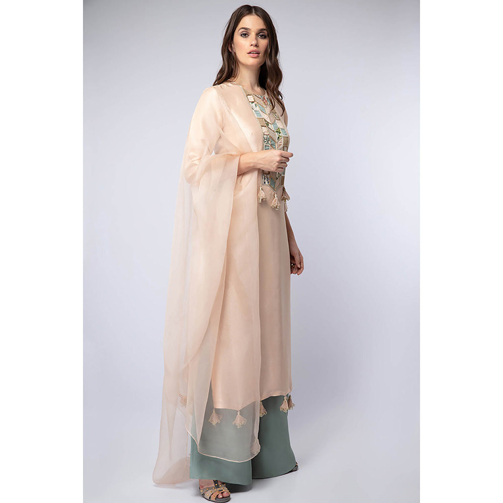 Payal Singhal Peach Kurta with Palazzo and Dupatta (Set of 3)