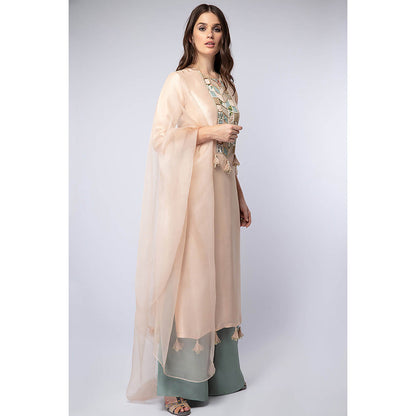 Payal Singhal Peach Kurta with Palazzo and Dupatta (Set of 3)